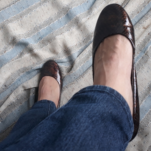 Brown and black snake print Fitzwell flats - Picture 4 of 9
